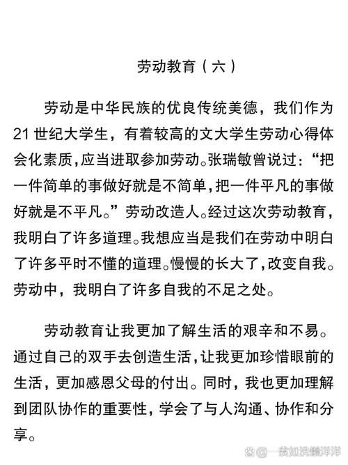 劳动教育感悟500字-图2