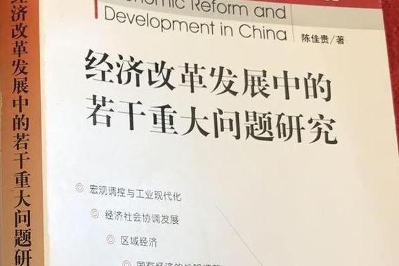 我国发展问题及对策研究-图2