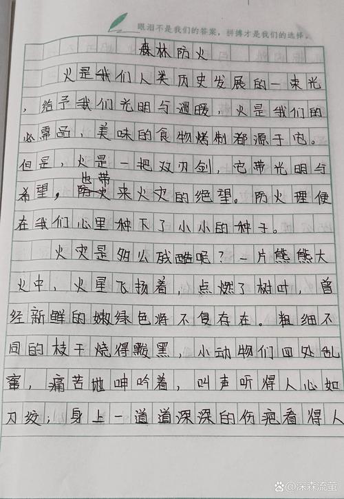 如何写好预防恐怖袭击教育作文？-图1