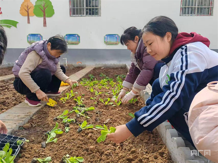 教育政策如何助力劳动社会实践落地？-图3