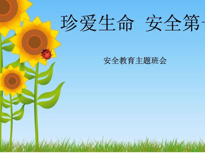 小学安全教育背景分析-图3