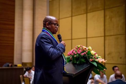 中国投资南非的参考文献-图3