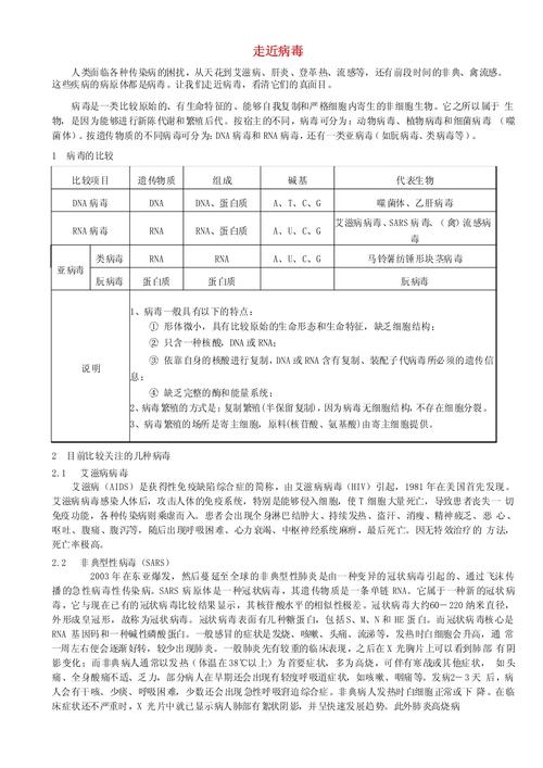 研究某种生物的小论文-图3