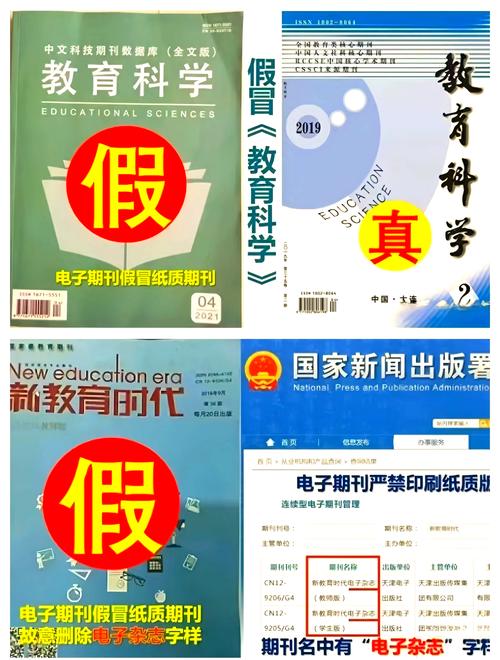 山东教育是核心刊物吗？-图2