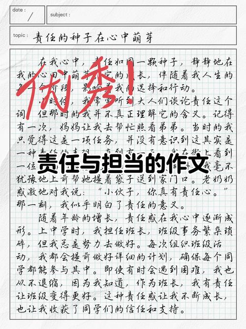 责任教育作文400字-图3