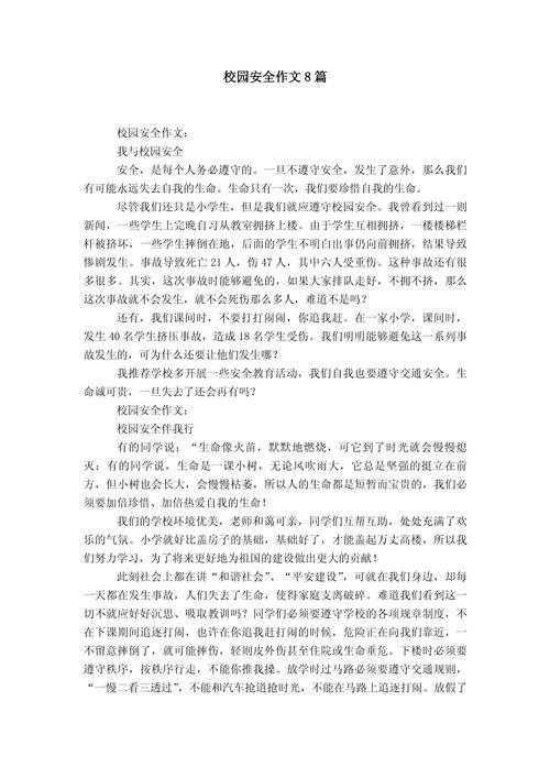 校园安全方面的参考文献-图1