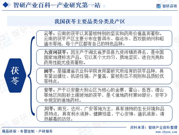 产业发展现状如何？对策研究有何方向？-图3