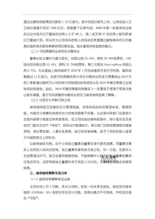 财务造假的外文参考文献-图1