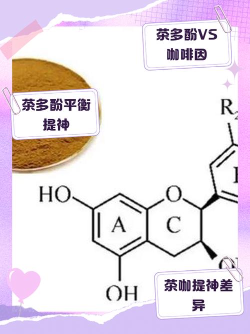 茶中茶多酚的研究论文-图3