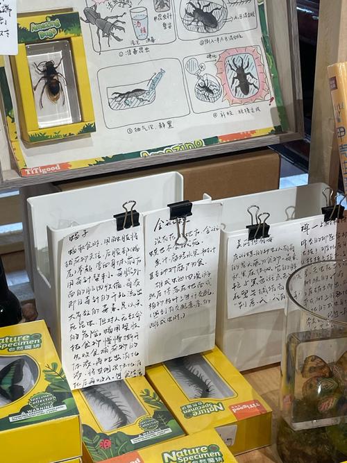 书店设计的主要参考文献-图2