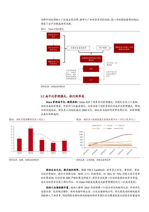 拼多多营销方式有何独特之处？-图3