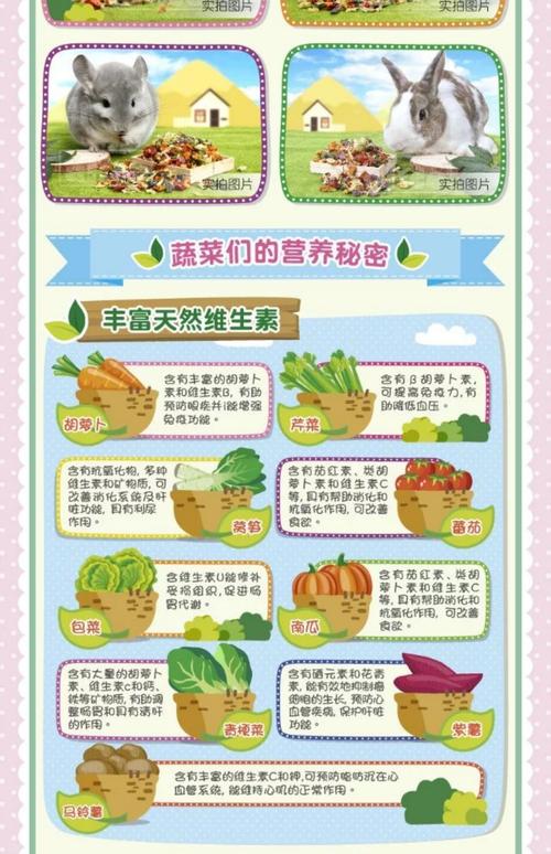 关于蔬菜保健的参考文献-图2