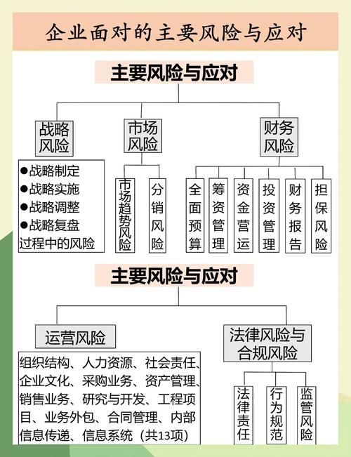 企业财务风险体系研究-图3