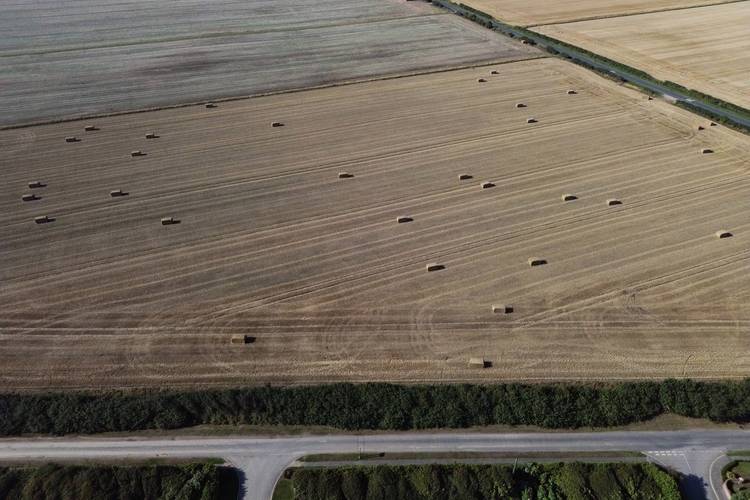 耕地利用变化国外研究-图2