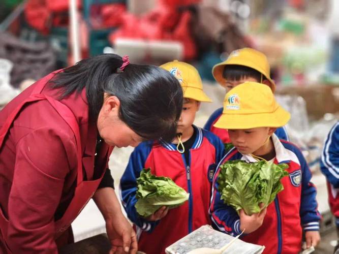 学前儿童现代教育实践如何落地？-图1