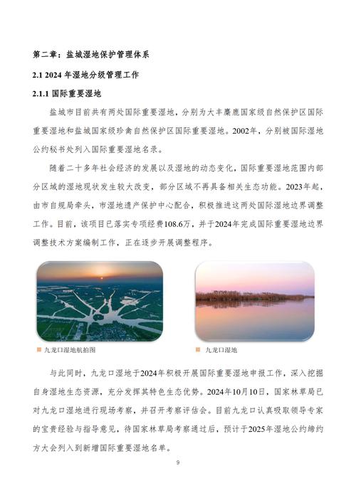 城市湿地公园研究报告-图1