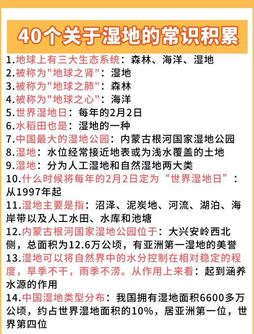 城市湿地公园研究报告-图2