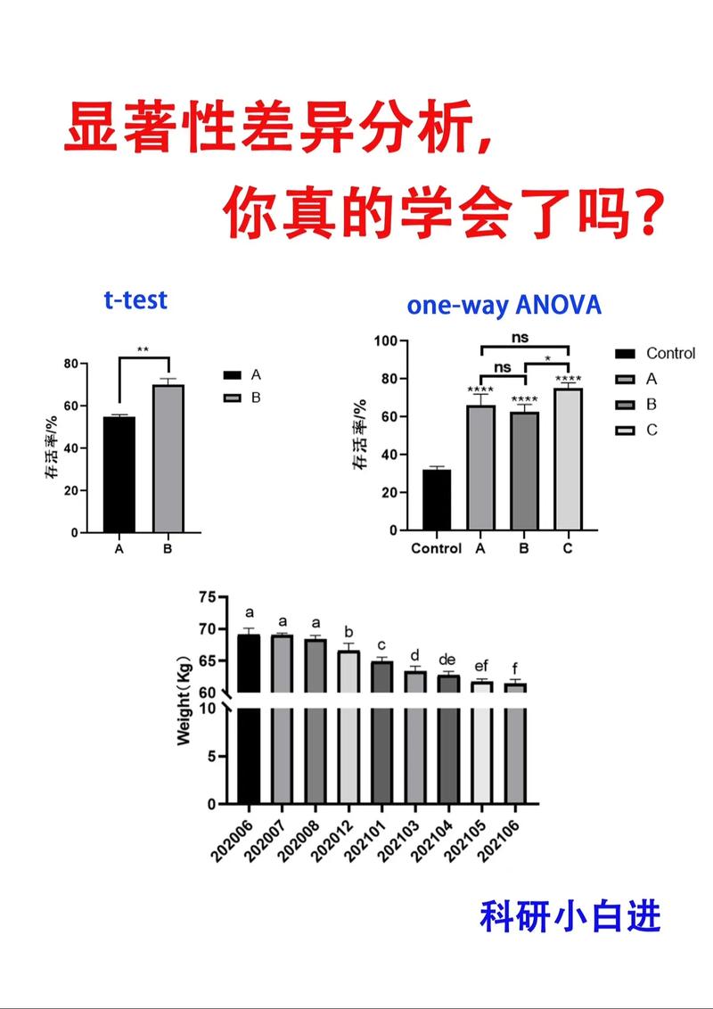 与差异有关的问题研究-图1
