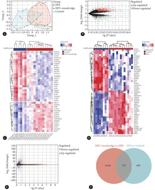 与差异有关的问题研究-图2