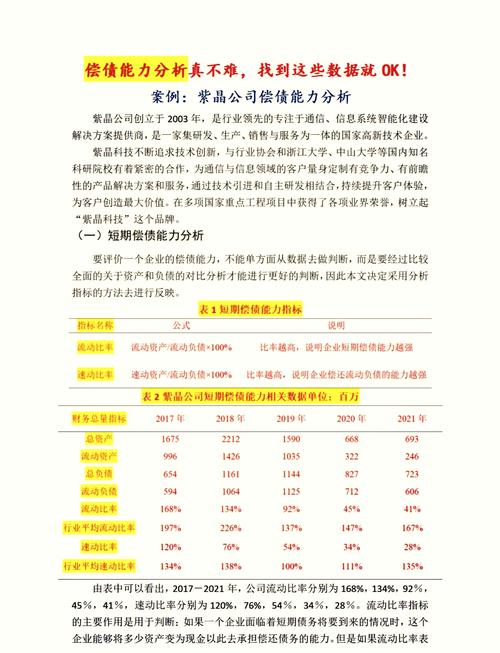 偿债能力的参考文献概括-图1