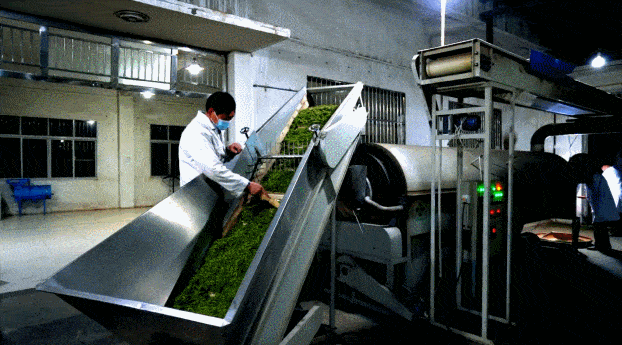 茶叶出口国内研究动态如何?-图1 茶叶出口国内研究动态如何?-图1