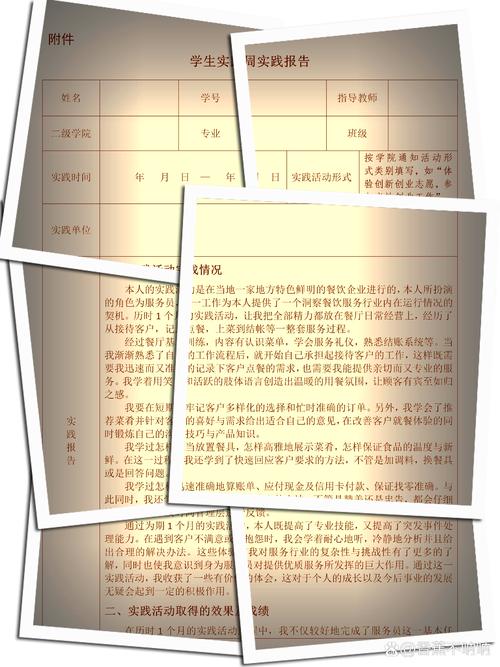 社工定性研究报告范文-图3