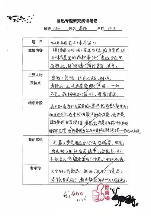 校园文化个人研究过程如何展开？-图1