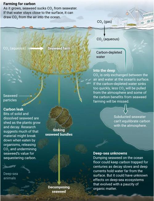 海洋学研究影响因子多少?-图2 海洋学研究影响因子多少?-图2