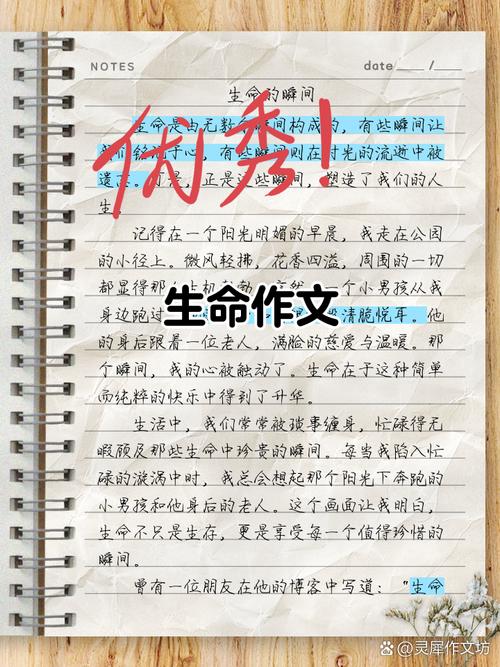 托班生命教育如何有效开展？-图3