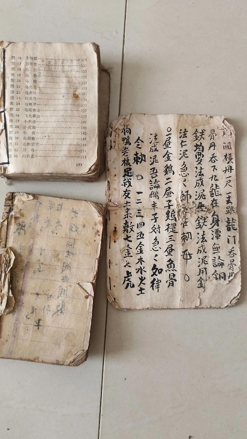 武术受伤及恢复参考文献-图3