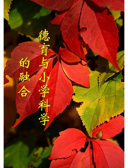 德育渗透，如何在教育中有效落地？-图2