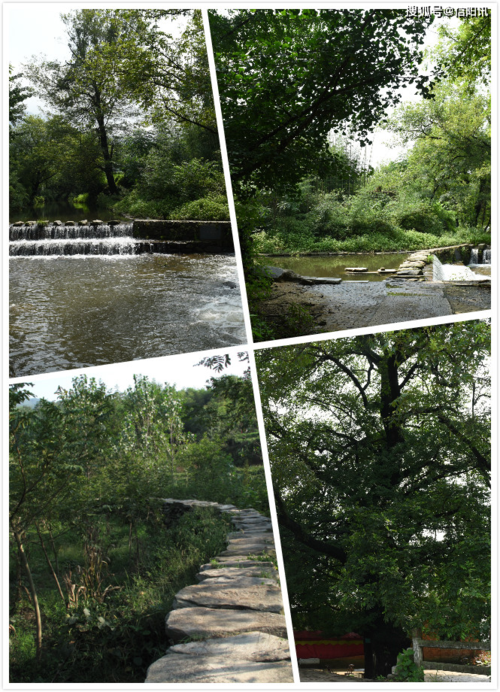 国外对新县研究有何新发现与启示？-图2