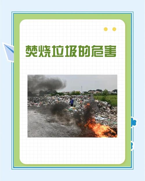 焚烧垃圾的参考文献有哪些？-图1