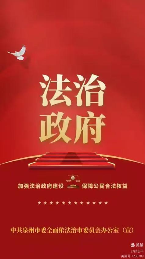 法治政府如何实现依法行政？-图3