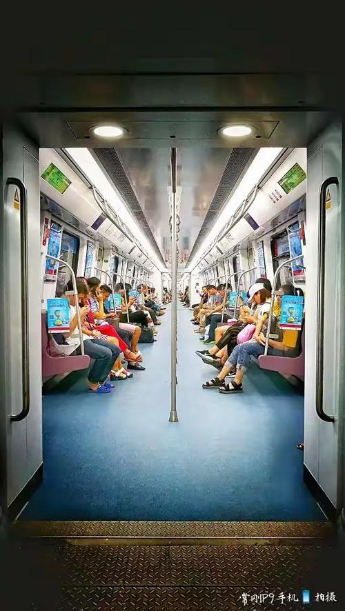 低头族的生活研究论文-图2