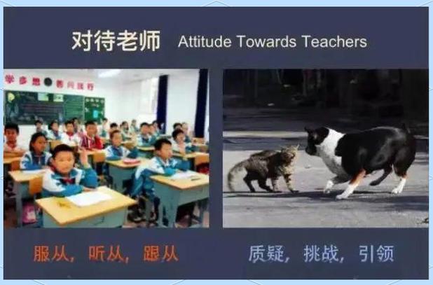 中英教育方式相同之处-图2