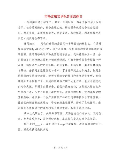 市场研究实训报告心得，如何提炼核心价值？-图1