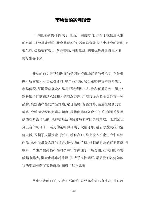 市场研究实训报告心得，如何提炼核心价值？-图3