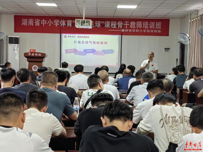 小学体育教师发展面临哪些瓶颈？-图3