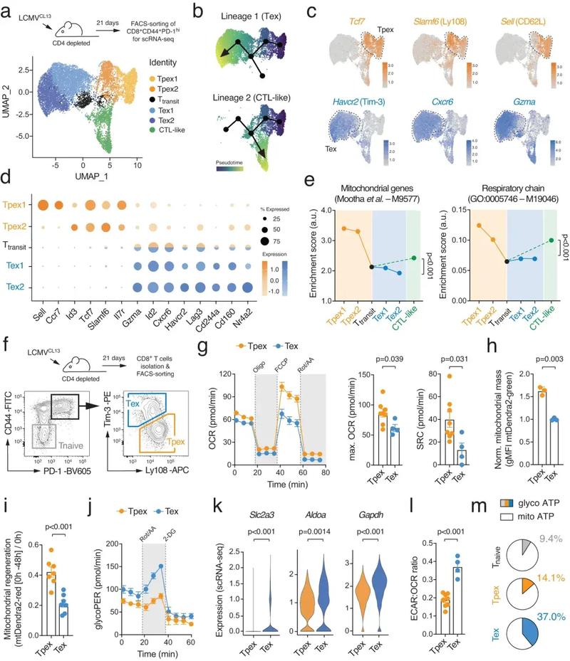 插画论文参考文献如何筛选？-图1