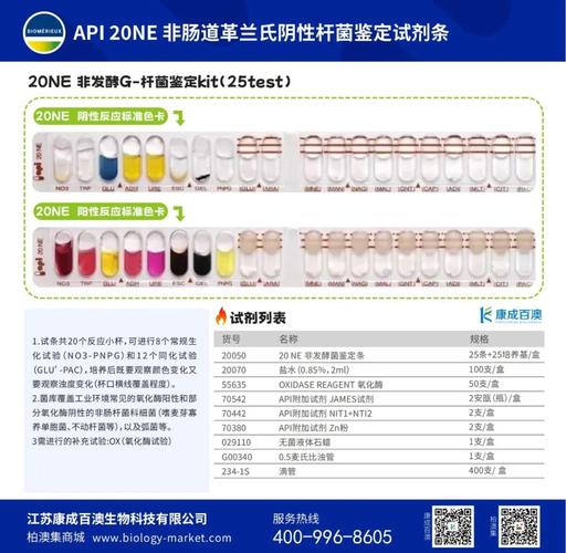 NE引用为何未生成参考文献？-图3