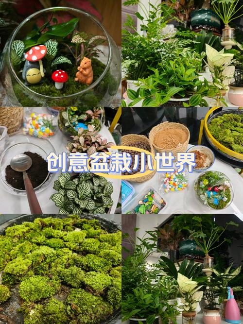 花盆效应如何限制教育生态的真实发展？-图2