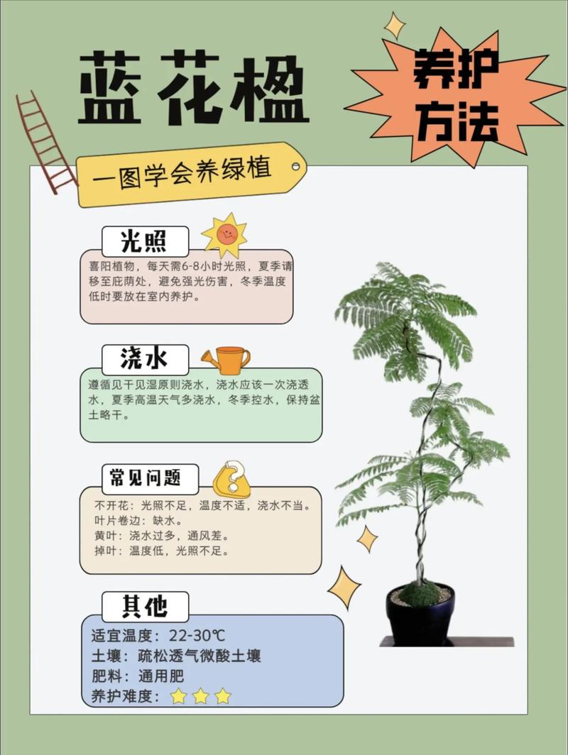 花盆效应如何限制教育生态的真实发展？-图3