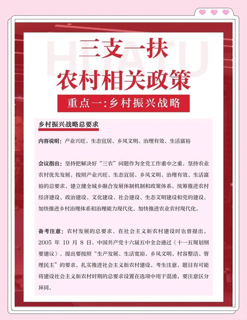 乡村振兴政策研究如何加强？-图3