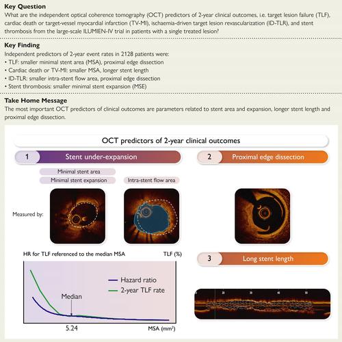 沃恩price参考文献具体指哪些文献？-图1
