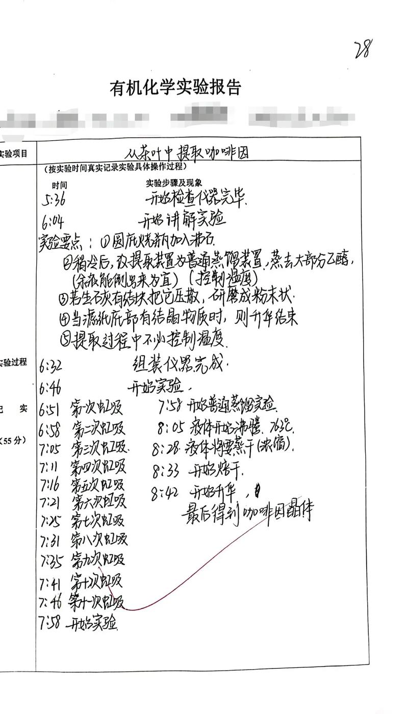 个人研究茶的过程有哪些关键发现？-图3