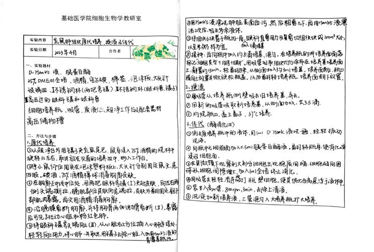 生物研究设想怎么写？关键步骤有哪些？-图3