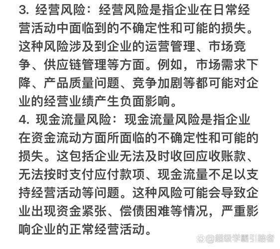 司财务风险研究分析，关键点与应对策略是什么？-图1