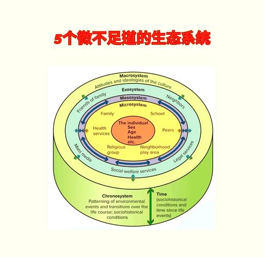 生态教育理念文化系统如何构建？-图2