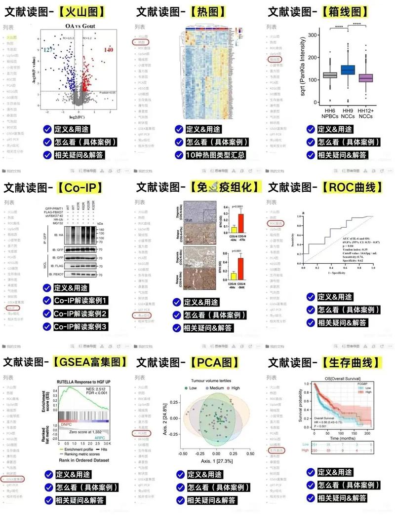 文献类型不明，如何正确标注参考文献？-图1